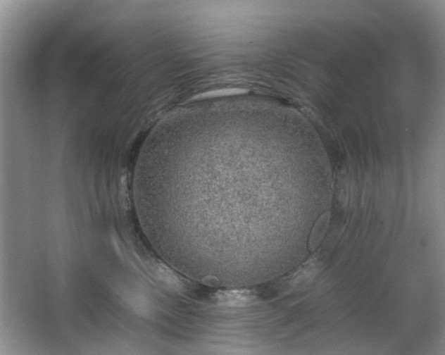 X0000067460378200604101139