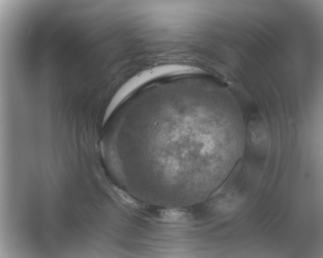 X0000067460380200604101139