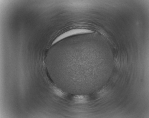 X0000067460381200604101139