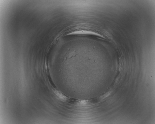 X0000067460382200604101139