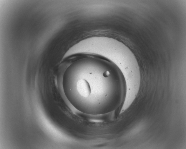 X0000067460383200604101139