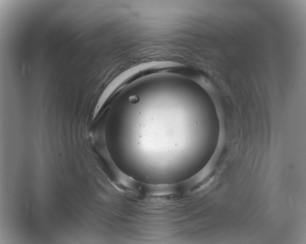 X0000067460384200604101139