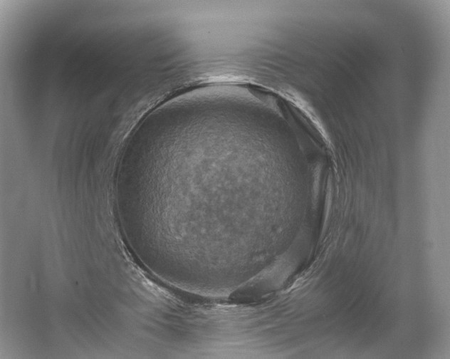 X0000067460385200604101138