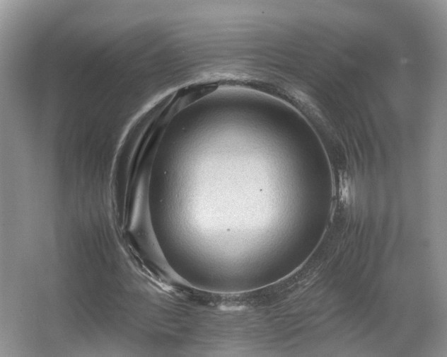 X0000067460388200604101138