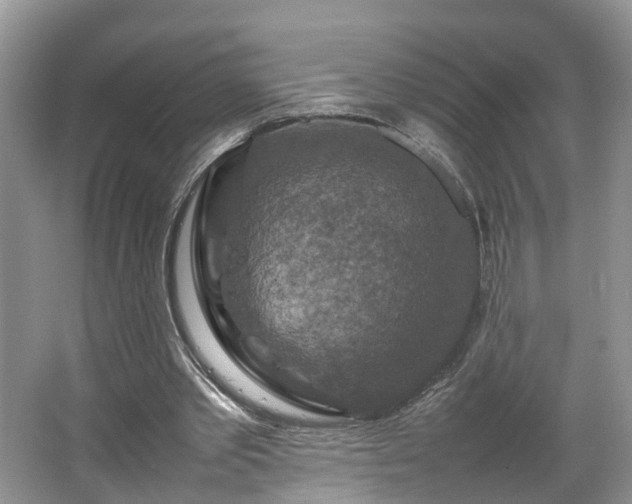 X0000067460389200604101138