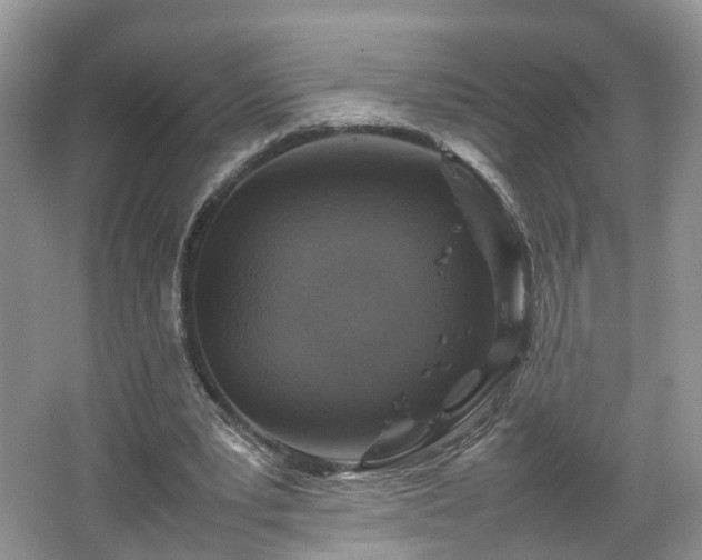 X0000067460391200604101138