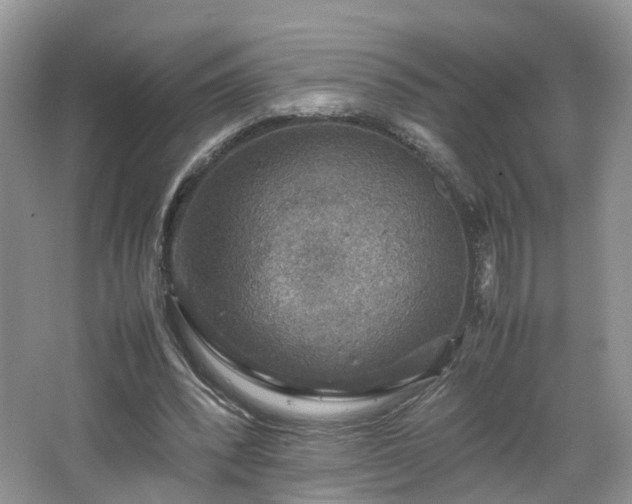 X0000067460392200604101138