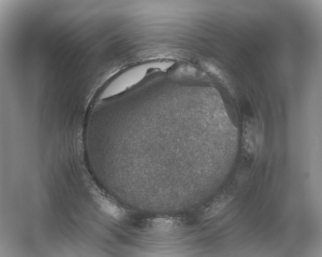 X0000067460394200604101138