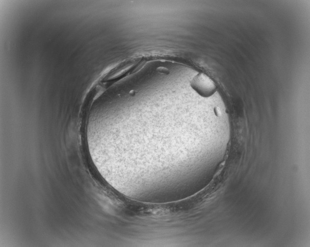 X0000067460395200604101138