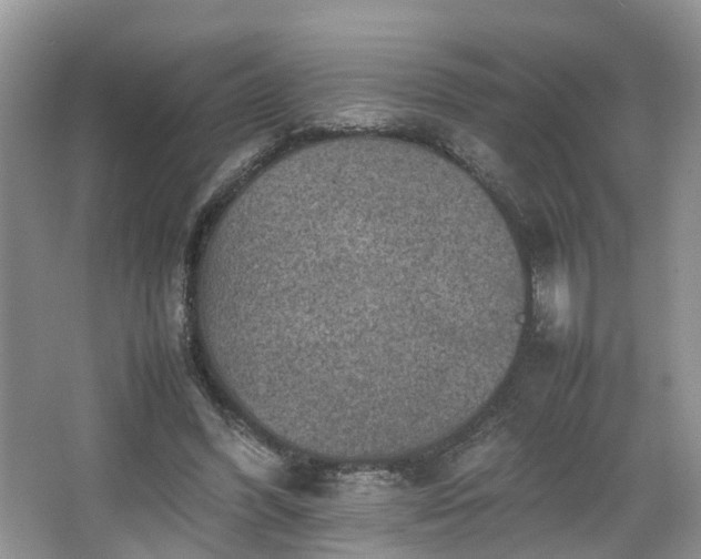 X0000067460396200604101138