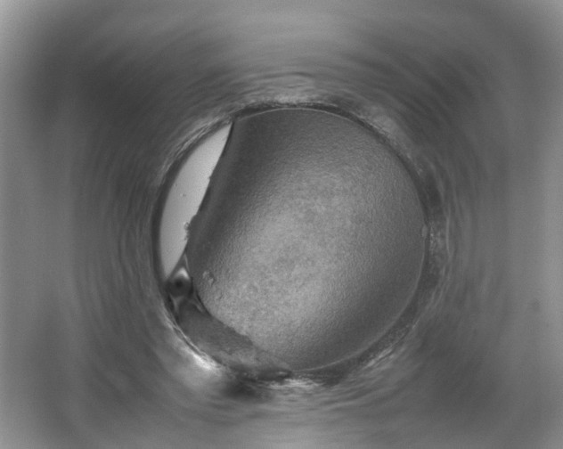 X0000067460397200604101138