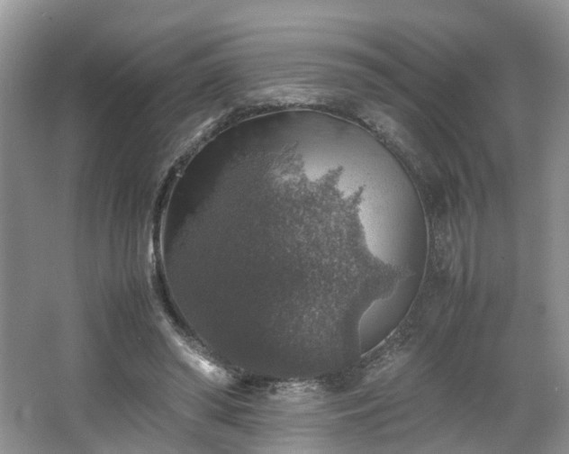 X0000067460398200604101138