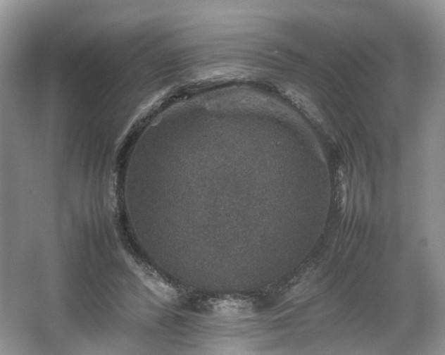 X0000067460400200604101138