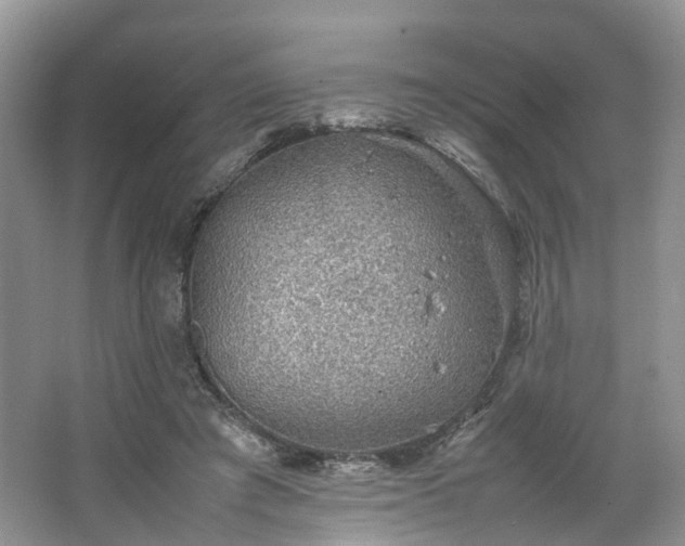 X0000067460401200604101138