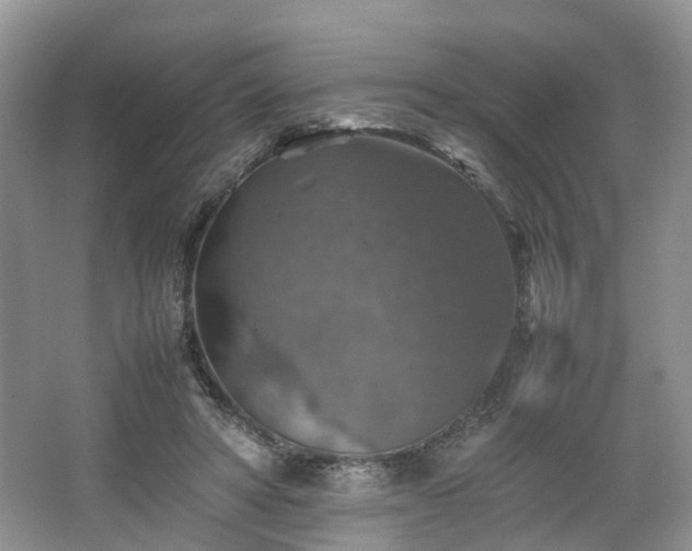 X0000067460402200604101138