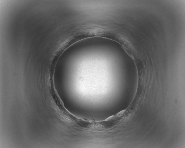 X0000067460403200604101138