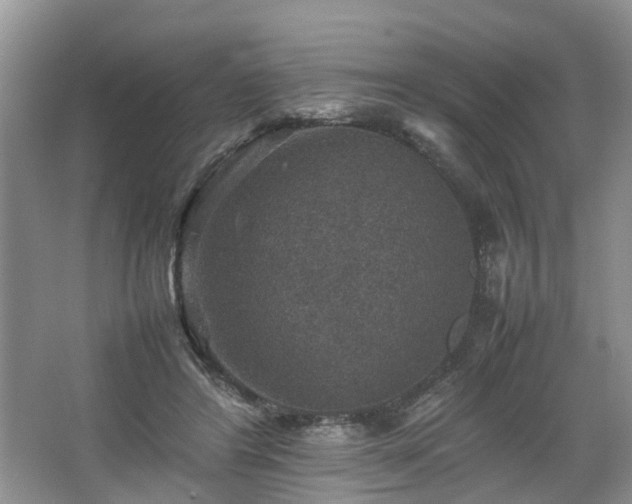 X0000067460404200604101138