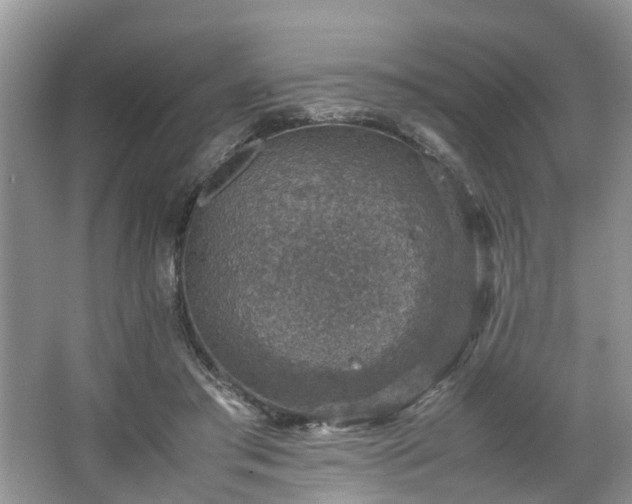 X0000067460405200604101138