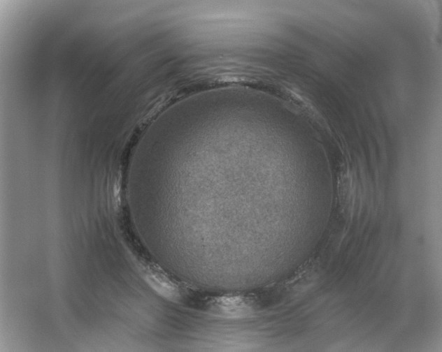 X0000067460406200604101138