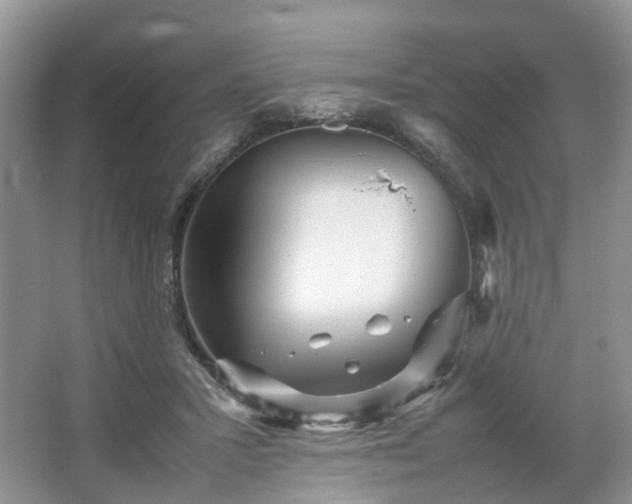 X0000067460407200604101138