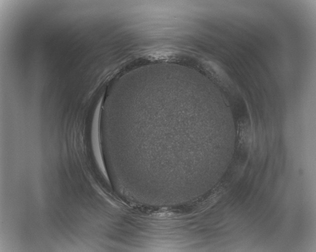 X0000067460408200604101138