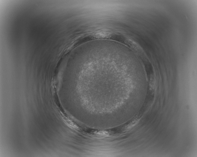 X0000067460409200604101138