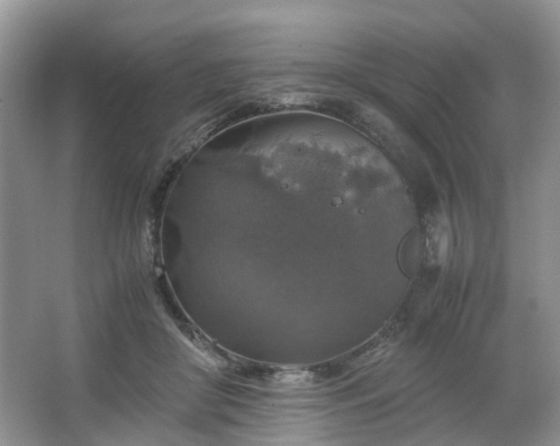 X0000067460410200604101138