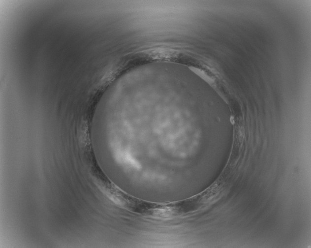 X0000067460411200604101138