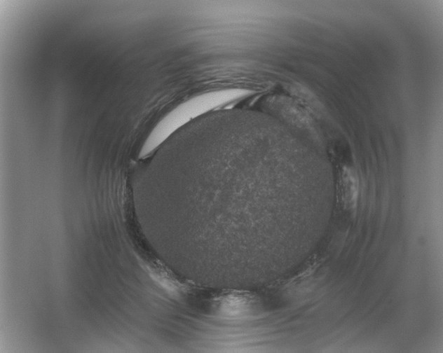 X0000067460412200604101138