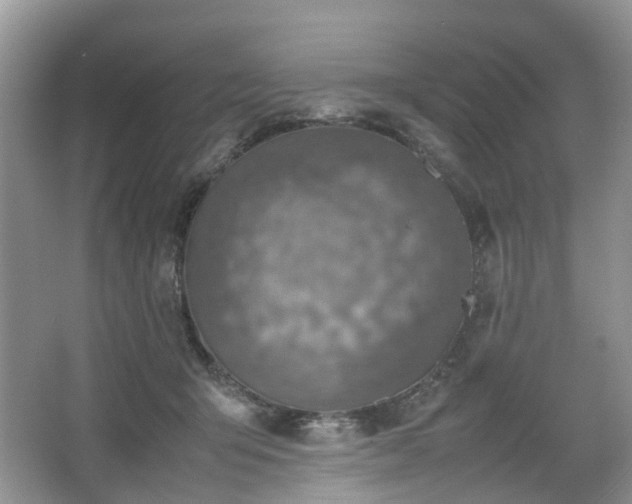 X0000067460415200604101138