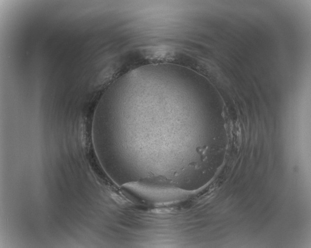 X0000067460416200604101138