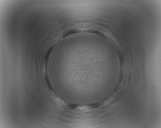 X0000067460417200604101138