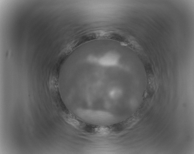 X0000067460419200604101138