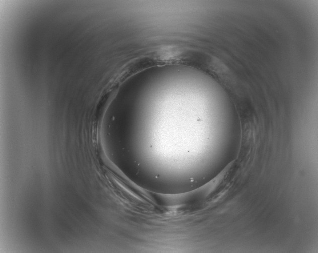 X0000067460421200604101138