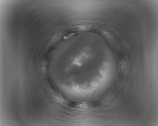 X0000067460423200604101138