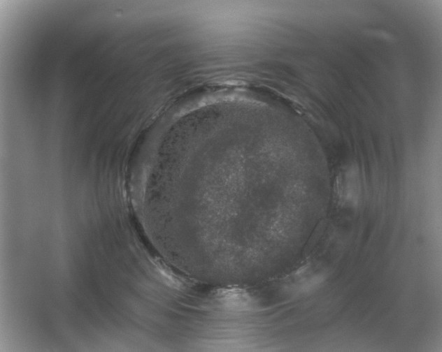 X0000067460424200604101138