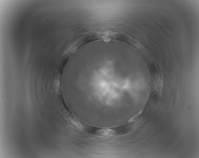 X0000067460427200604101138