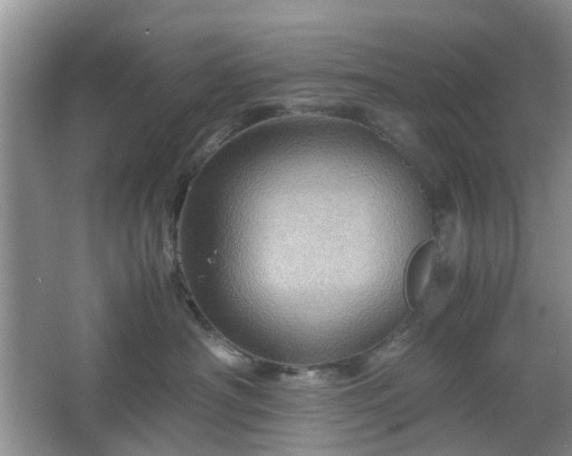 X0000067460430200604101138