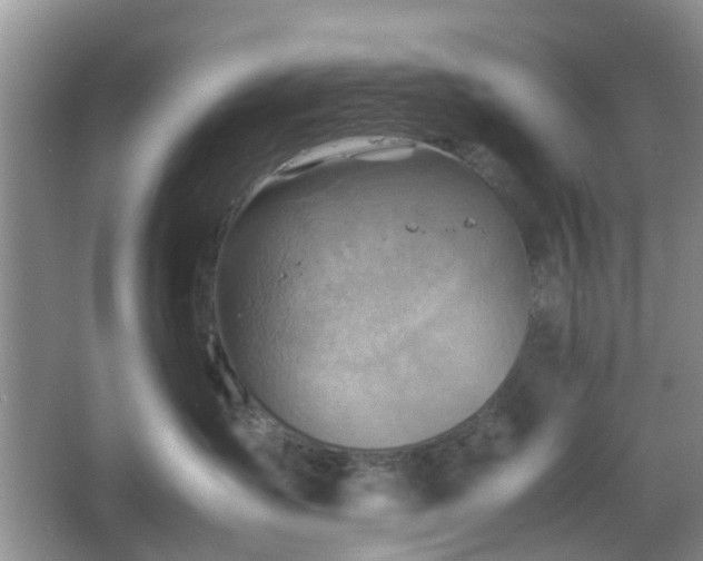 X0000067460431200604101138