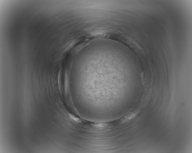 X0000067460432200604101138