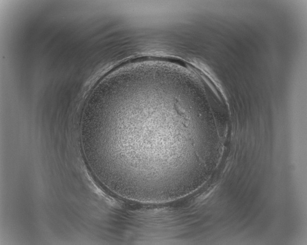 X0000067460433200604101137