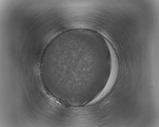 X0000067460434200604101137