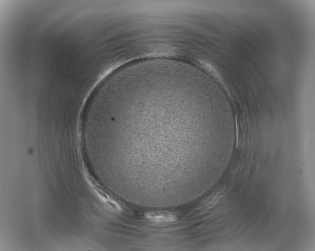 X0000067460435200604101137