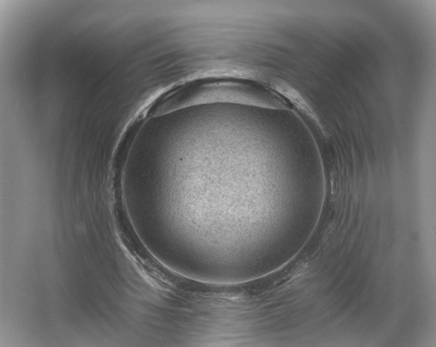 X0000067460436200604101137