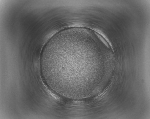 X0000067460437200604101137