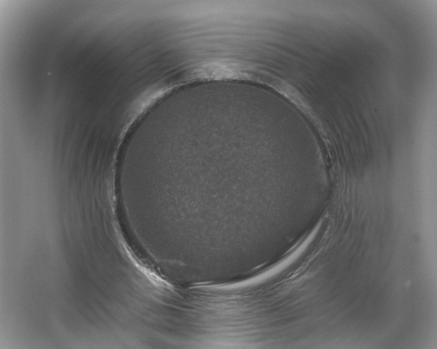 X0000067460438200604101137