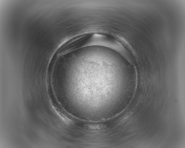 X0000067460439200604101137