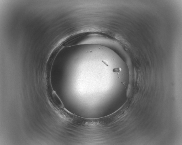 X0000067460440200604101137