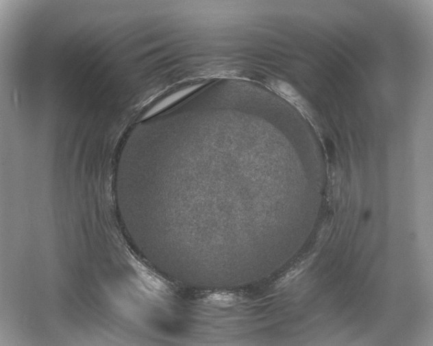 X0000067460441200604101137