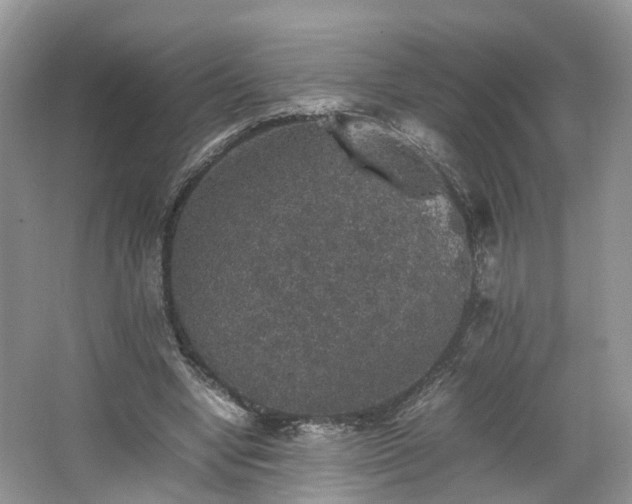 X0000067460442200604101137